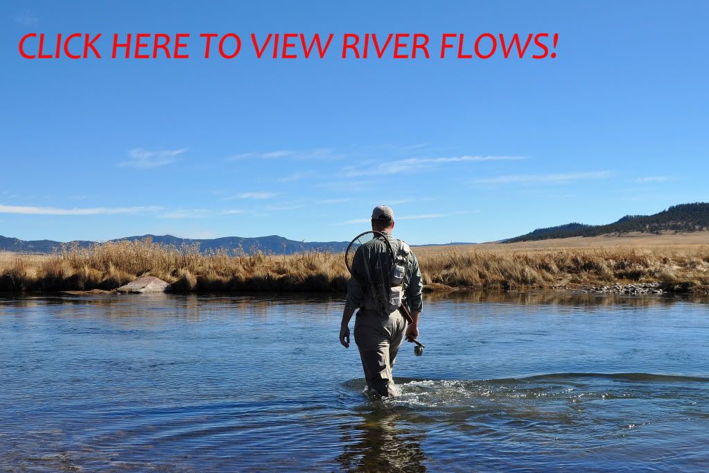 Colorado Fly Fishing Magazine Kleis's Top Ten Flies For Colorado